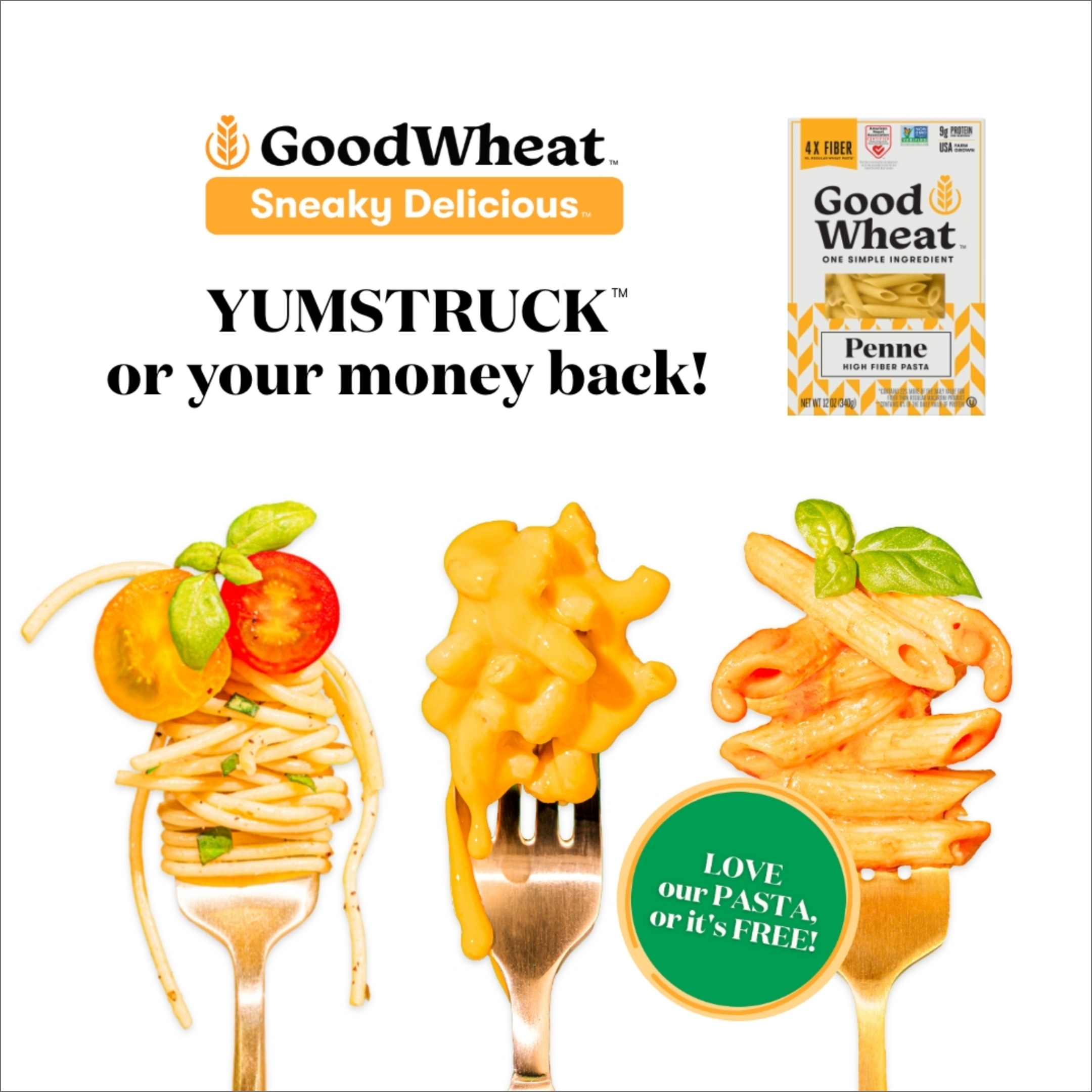 Static Post_Pop Sugar_2